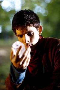 Кадр Мерлин