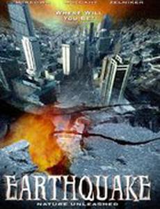 Землетрясение (видео)