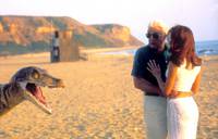 Кадр Неистребимый шпион