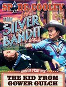 The Silver Bandit