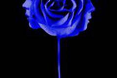 Я знаю, кто убил меня