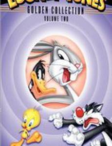 Кошачий колледж