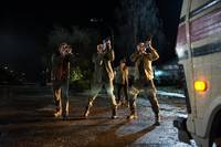 Кадр Хищник