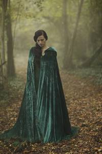 Кадр Мерлин