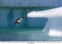 Кадр Океаны