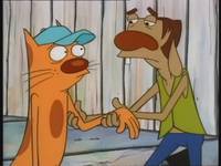 Кадр Котопес