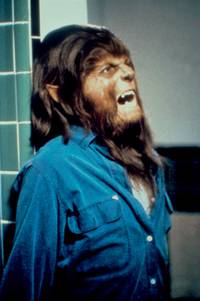 Кадр Волчонок