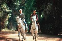 Кадр Зазубренное лезвие