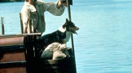 Кадр из фильма "Робинзон Крузо" - 1