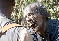 «Ходячих мертвецов» могут продлить до 12 сезона