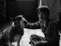 Кадр Франкенвини