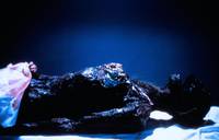 Кадр Экстро 2: Вторая встреча