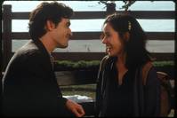 Кадр Правда о кошках и собаках