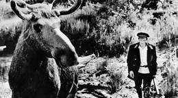 Кадр из фильма "Тропой бескорыстной любви" - 2