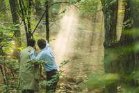 Кадр Море деревьев