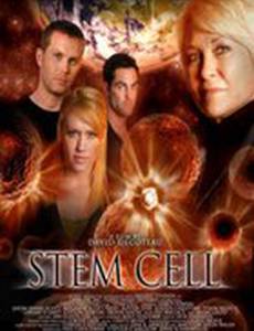 Stem Cell
