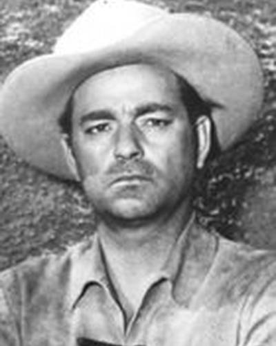 Гай Тиг фото