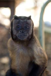 Кадр Мы купили зоопарк