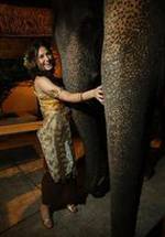 Скаут Тэйлор-Комптон фото