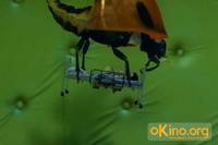 Кадр Я киборг, но это нормально