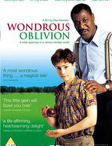 Удивительная забывчивость