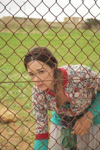 Кадр Перелетные свиньи