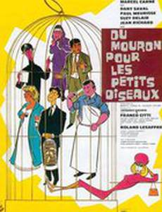 Просо для птичек