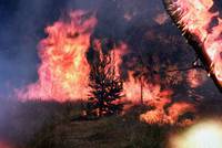 Кадр Огненный бой