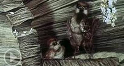 Мультфильм