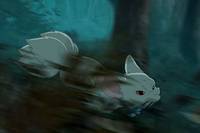 Кадр Девочка-лисичка