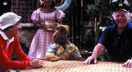 Кадр из фильма "Альф" - 2