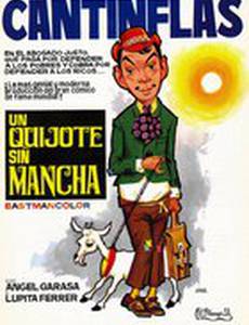 Кихот без пятна