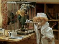 Кадр Боцман и попугай