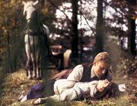 Кадр Барышни из Вилько