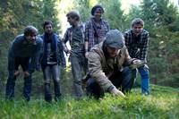 Кадр Грибы 3D