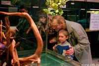 Кадр Жмурки