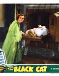 Постер из фильма "Чёрный кот" - 1