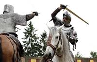 Кадр Мерлин