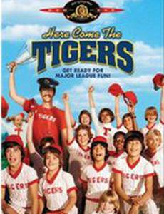 А вот и Тигры