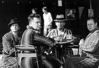 Кадр Kam slunce nechodí