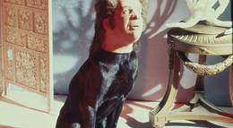 Кадр из фильма "Вальс Мефистофеля" - 1