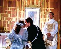 Кадр Дикая роза