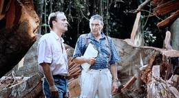 Кадр из фильма "African Timber" - 2