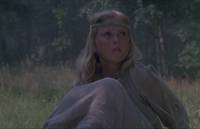 Кадр И на камнях растут деревья