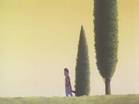 Кадр Ночь на Галактической железной дороге