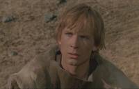 Кадр И на камнях растут деревья