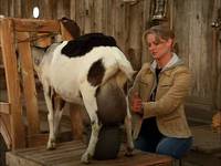 Кадр Упрямые сердца