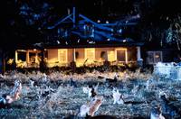 Кадр Лунатики