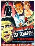 Постер из фильма "Проклятие Франкенштейна" - 1