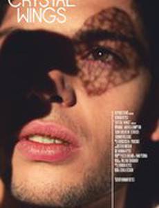Crystal Wings
